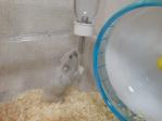 130407.jpg
