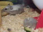130627-4.jpg