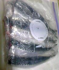 TS3U0673.jpg