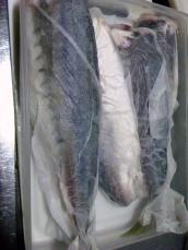 TS3U0677.jpg