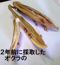 TS3U1272.jpg
