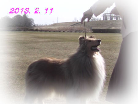 2013.02.11 りぼんちゃん FC2
