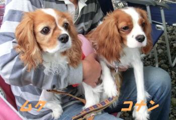 ムク&コナン