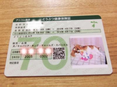 ムクのアニコム契約