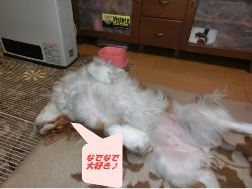 なでなで大好き