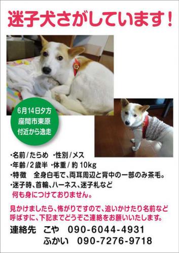 たらめちゃん