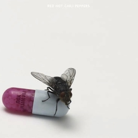 Red Hot Chili Peppers I'm With You