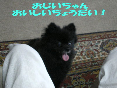 ビッツ6