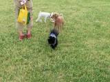 CIMG0030_20130616225110.jpg