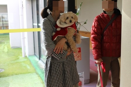 正正モカサンタ121113 - コピー