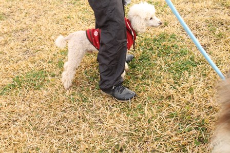 kyu122113.jpg