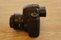 DSC09026.jpg