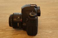DSC09027.jpg