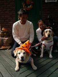 ハローウィン