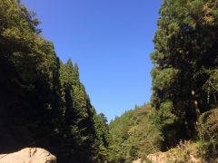 s-20140928_060841311_iOS.jpg