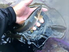 s-20140928_073731768_iOS.jpg
