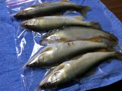 s-20140928_090748486_iOS.jpg