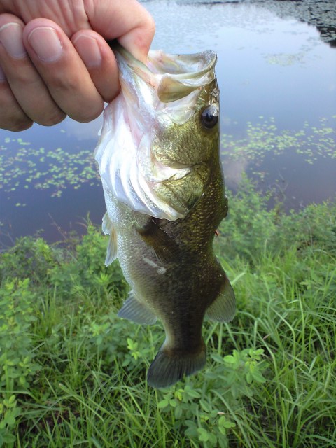 20140906-1.jpg