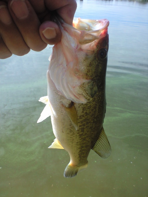20140915.jpg