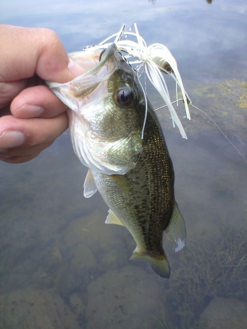 20140920-2.jpg