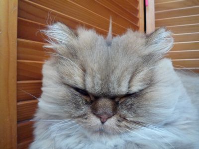 20111119.jpg