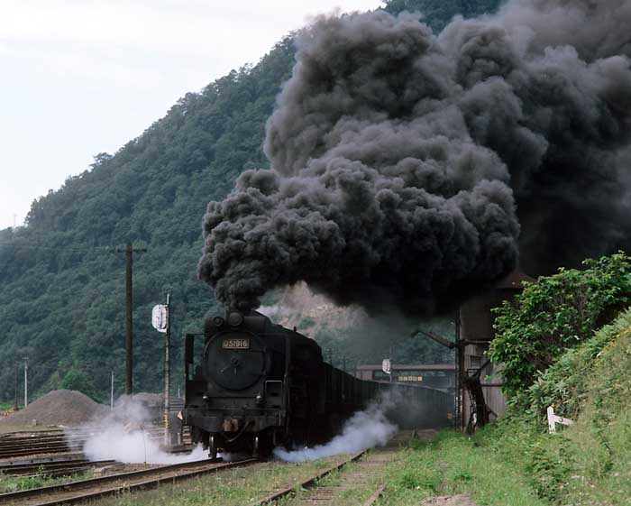 D51916 紅葉山 75.8
