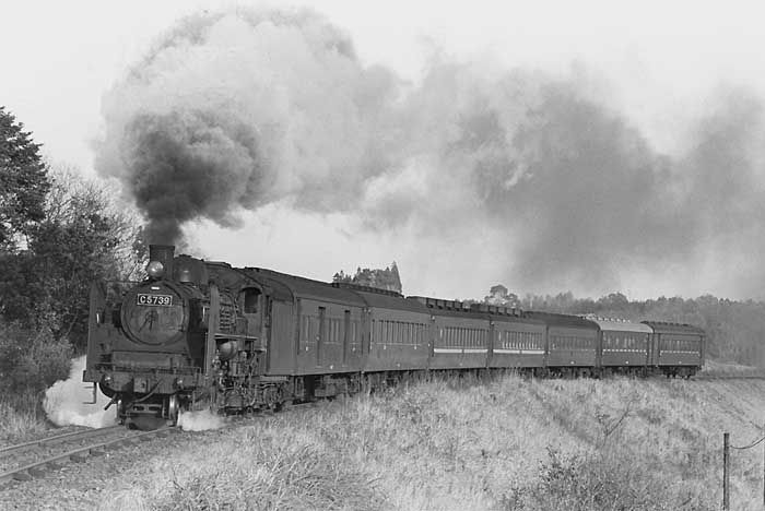 C5739日南3号 49.1.25