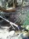 rps20120312_235057_460.jpg