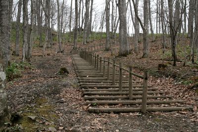 IMG_4709.jpg