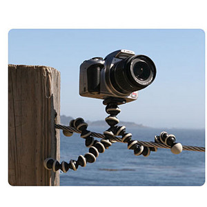 gorilla_pod_slr1.jpg