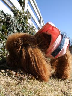 20130128_02.jpg