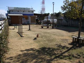 20130128_03.jpg