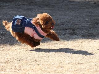 20130128_04.jpg