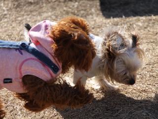 20130128_05.jpg