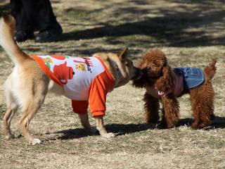 20130128_12.jpg