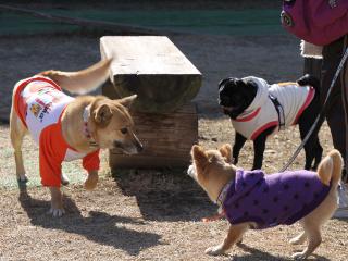 20130128_13.jpg