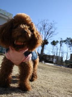20130128_02.jpg