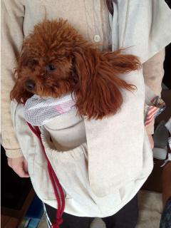 20130131_01.jpg