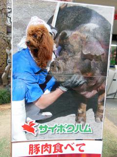 20130201_02.jpg