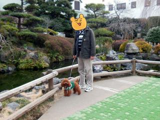20130201_03.jpg