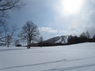 IMG_4646.jpg