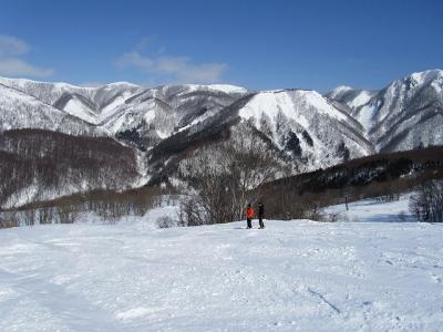 IMG_4772.jpg