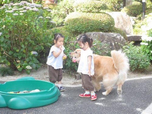 ナナソラピノ