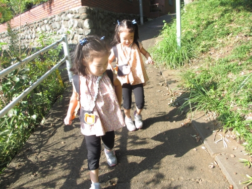 どんぐり小道