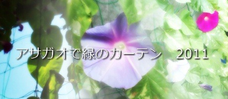 緑のカーテンタイトル画像 緑のカーテンタイトル画像