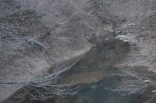 木の俣川