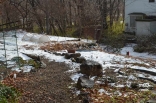 雪