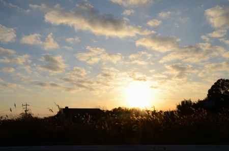 DSC_2636.jpg