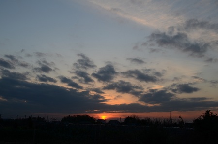 DSC_2637.jpg