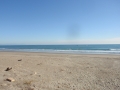 PB220387.jpg